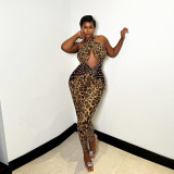 Mesh patchwork leopard print backless jumpsuit