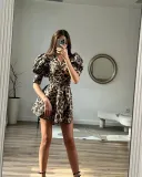 V-neck leopard print princess sleeve dress