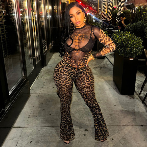 Flow leopard print high waisted crop top pants set