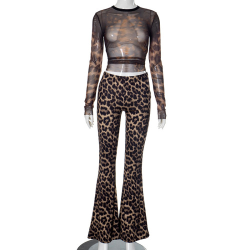 Flow leopard print high waisted crop top pants set