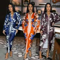 Printed V-neck long sleeved dress, long skirt