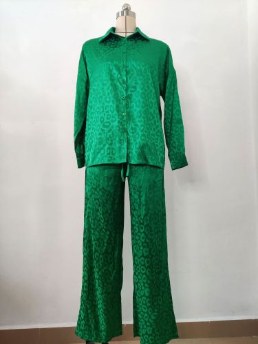 Long sleeved loose leopard print two-piece set