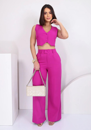 Two piece set of slim fitting women's clothing
