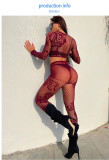 Deep V-lace long sleeved lace top