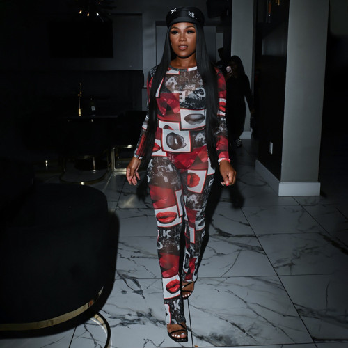 Printed round neck see through mesh long sleeved set