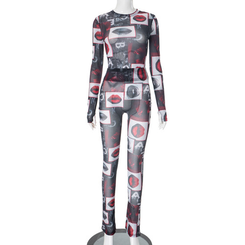Printed round neck see through mesh long sleeved set