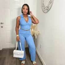 Sleeveless top pleated pants set