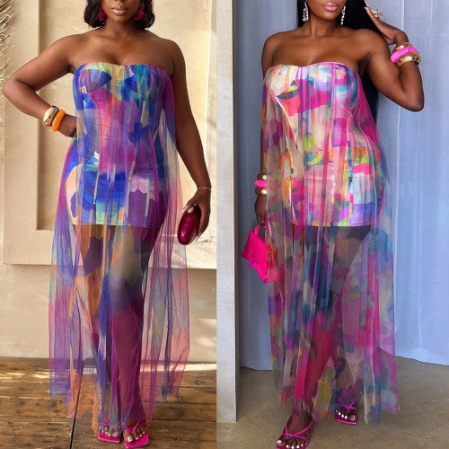 Perspective elastic mesh spliced hip hugging dress