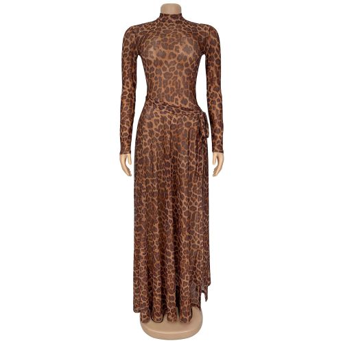 Leopard print long sleeved slit dress