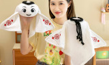 2022 World Cup Mascot Doll