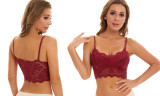 One or Three Women's Lace Bralette Bra