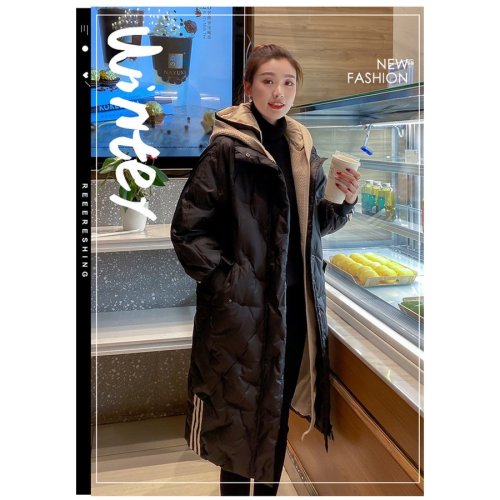 ブルゾン レディース ジャケット アウター ジャンパー 秋服 綿 レディースアウター 大きいサイズ 30代 40代 50代ファッション