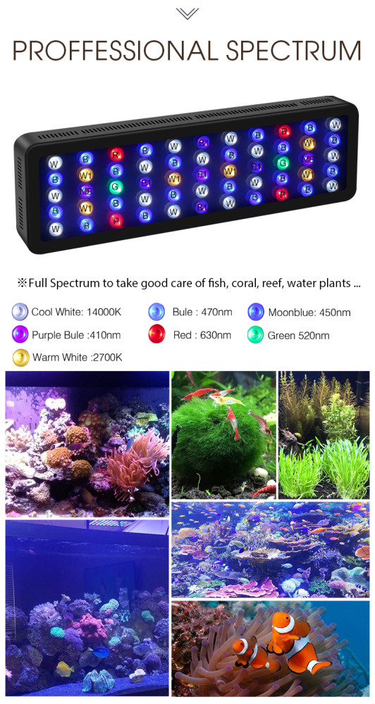 LED sea water aquarium coral growing led aquarium light Remote dimming 300W fish tank lighting