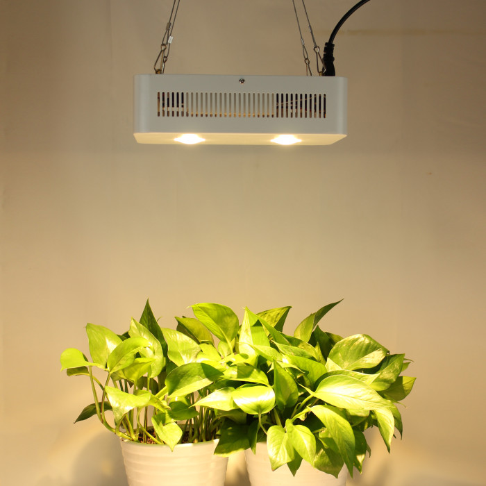 High power109W cob full spectrum optic Lens for indoor plants led grow light