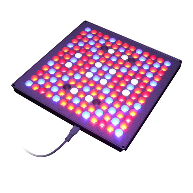 Best 169pcs High Quality Epileds LED Chips Hydroponic for Microgreens Lettuce LED Panel Grow Light