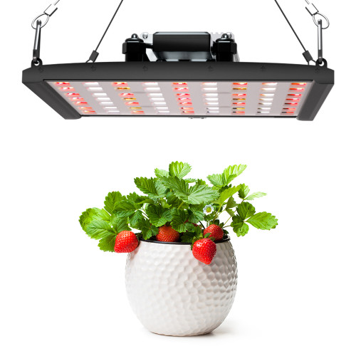 100W Dual Channel Bluetooth App Control  Indoor plant LED Grow Light panel