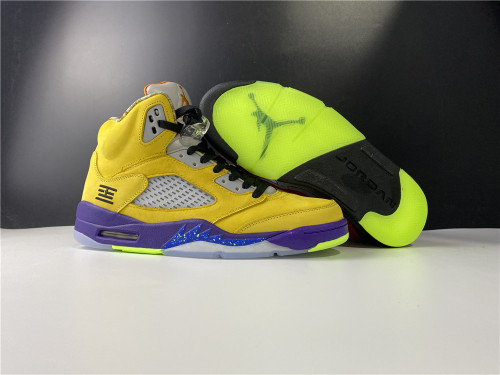 Air Jordan 5 What The