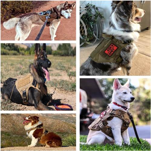 Tactical Training Vest Dog Harness and Leash Set For All Breeds Dogs 1000D