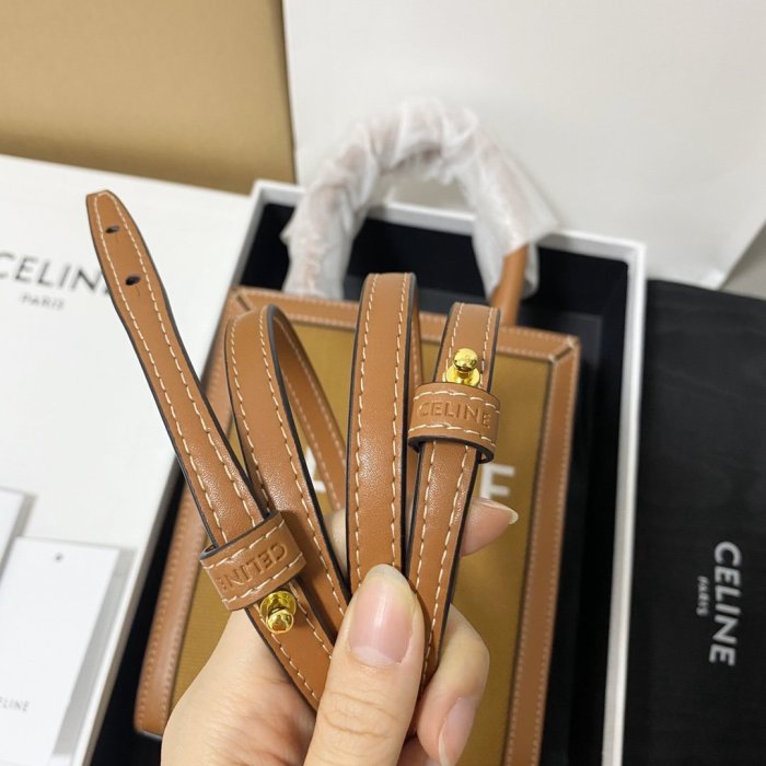 2020SS新作 Celine セリーヌ レディースショルダーバッグスーパーコピー