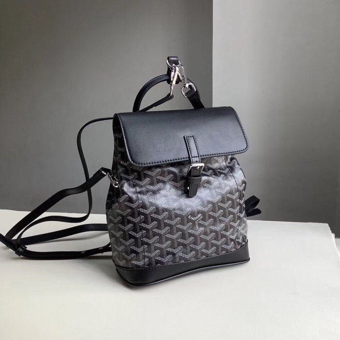 2020SS新作 ゴヤール Goyard レディース リュックバック スーパーコピー