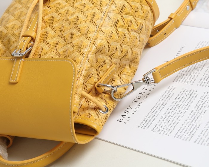 2021SS新作 ゴヤール Goyard レディースリュックバックスーパーコピー