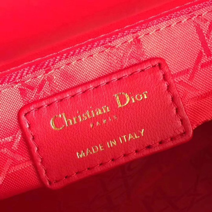 202103SS新作 Dior ディオール レディース ハンドバックスーパーコピー