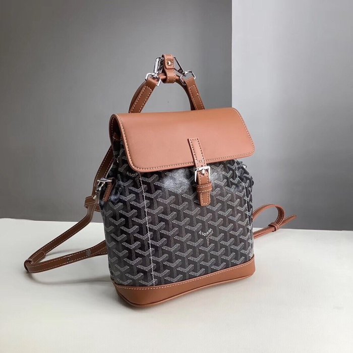 2020SS新作 ゴヤール Goyard レディース リュックバック スーパーコピー