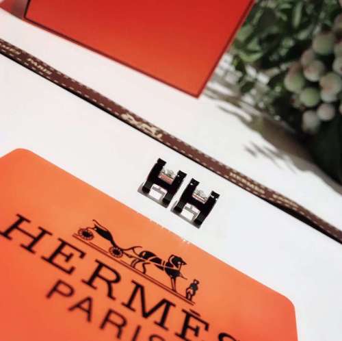 HERMES/エルメス 新品 ピアス イアリング 秋冬新作 19P70-HE48