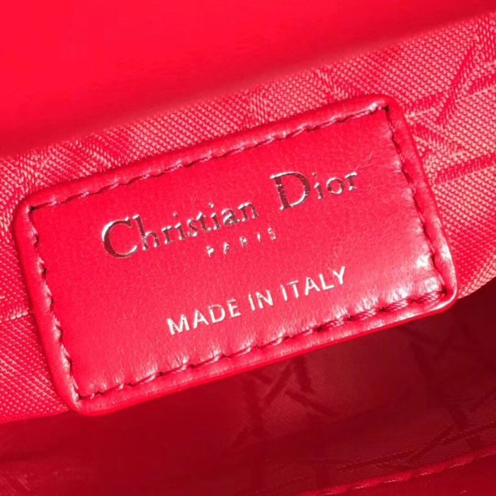 202103SS新作 Dior ディオール レディース ハンドバックスーパーコピー