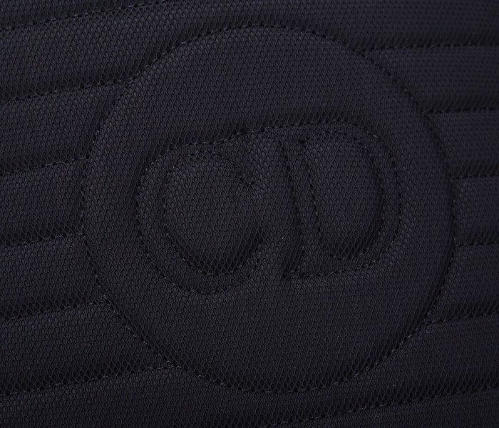 2021SS新作 Dior ディオール メンズ リュックバックスーパーコピー