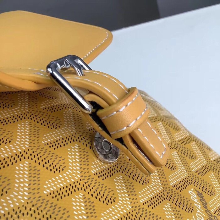 2020SS新作 ゴヤール Goyard レディース リュックバック スーパーコピー
