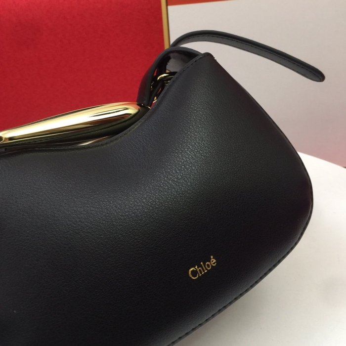 202103SS新作 Celine セリーヌ レディースショルダーバッグスーパーコピー