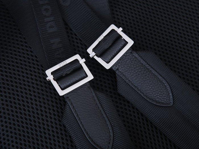 202103SS新作 Dior ディオール メンズ リュックバックスーパーコピー