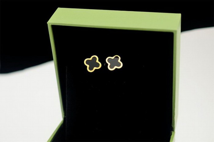 Van Cleef & Arpels ヴァン クリーフ＆アーペル イヤリング ピアス Van-210e