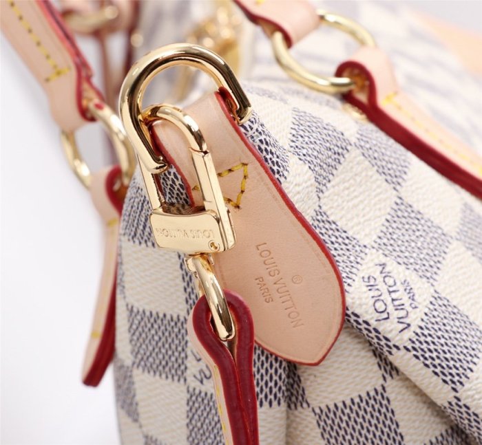 2021SS新作 Louis Vuitton ルイヴィトン レディース ショルダーバック スーパーコピー