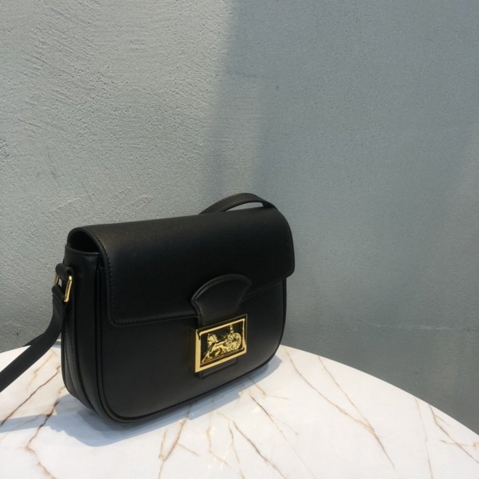202103SS新作 Celine セリーヌ レディースショルダーバッグスーパーコピー