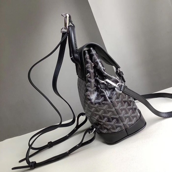 2020SS新作 ゴヤール Goyard レディース リュックバック スーパーコピー