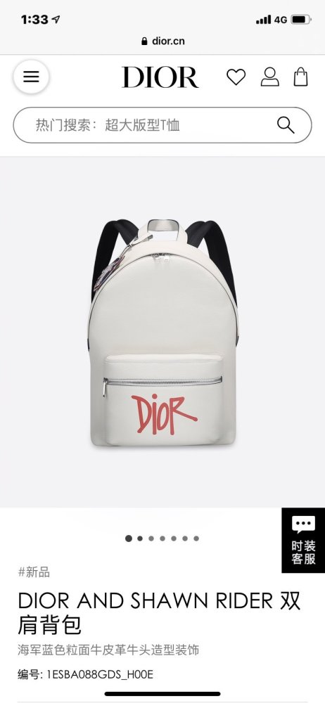 202110SS新作 Dior ディオール メンズ リュックバックスーパーコピー