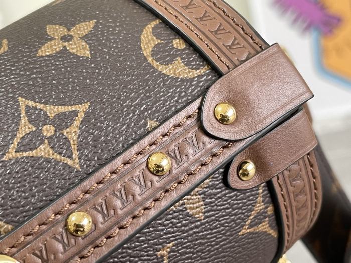 202201SS新作 Louis Vuitton ルイヴィトン レディース ショルダーバックスーパーコピー