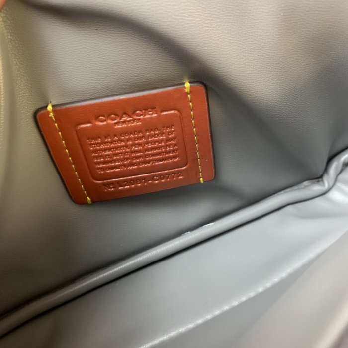 202203SS新作 Coach コーチレディース ショルダーバッグスーパーコピー