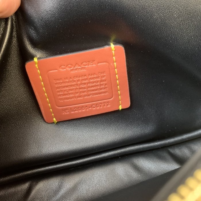 202203SS新作 Coach コーチレディース ショルダーバッグスーパーコピー