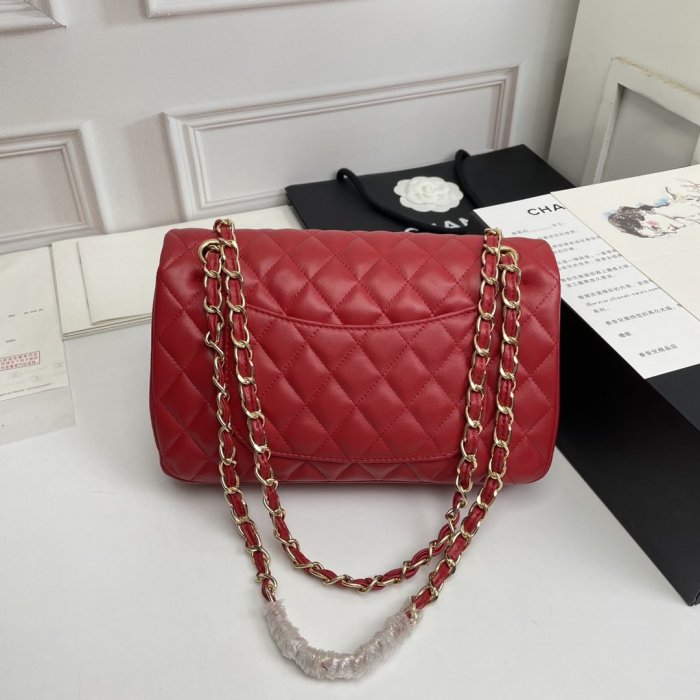 202206SS新作Chanelシャネルレディース ショルダーバックスーパーコピー