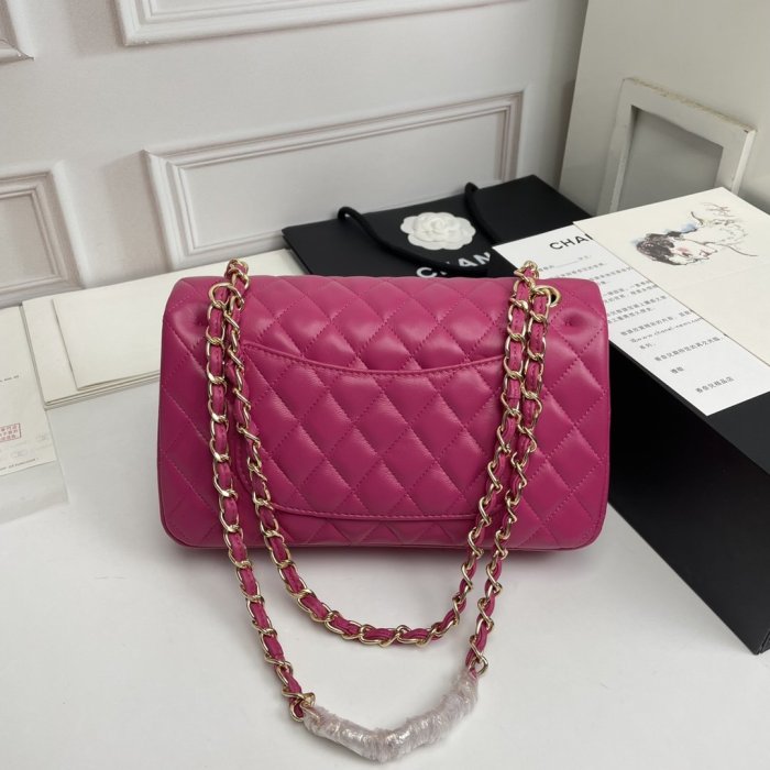 202206SS新作Chanelシャネルレディース ショルダーバックスーパーコピー