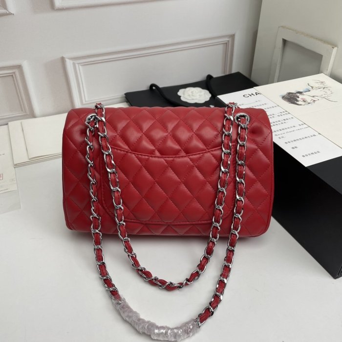 202206SS新作Chanelシャネルレディース ショルダーバックスーパーコピー