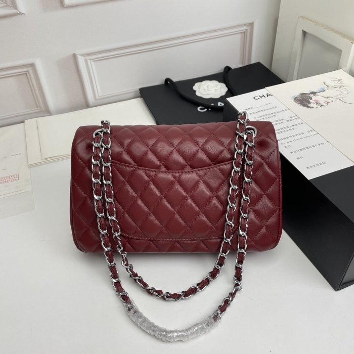 202206SS新作Chanelシャネルレディース ショルダーバックスーパーコピー