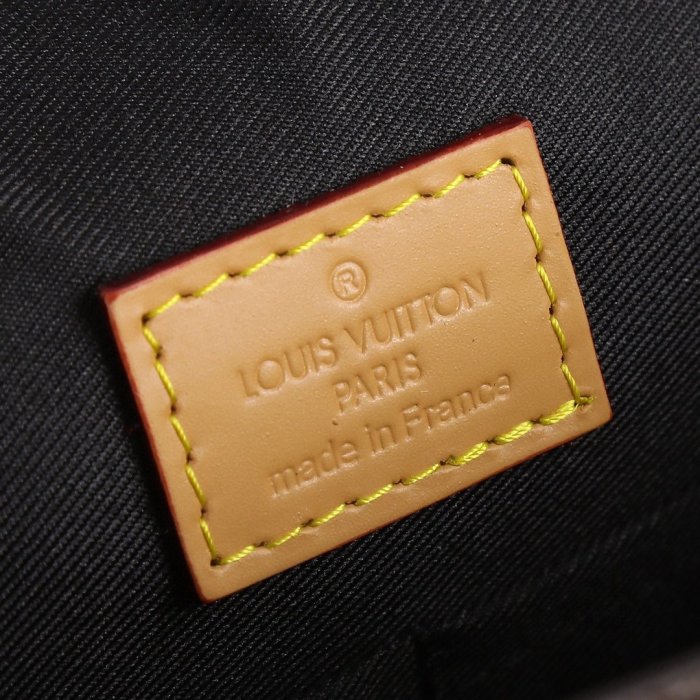 202206SS新作 Louis Vuitton ルイヴィトン レディース ショルダーバックスーパーコピー