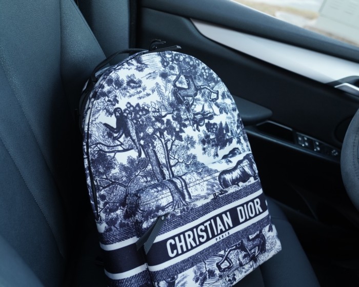 202209SS新作Dior クリスチャンディオールメンズ リュックバックスーパーコピー
