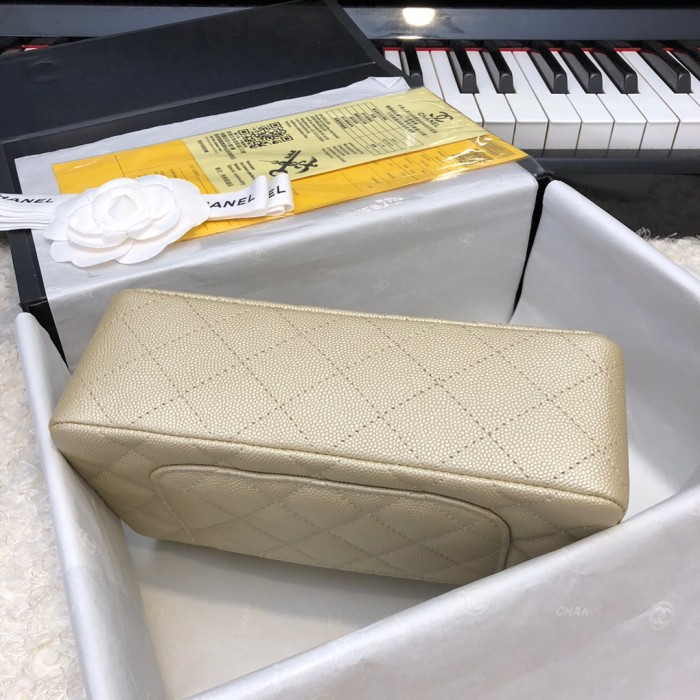 202209SS新作Chanelシャネル レディース ショルダーバックスーパーコピー
