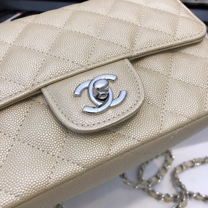 202209SS新作Chanelシャネル レディース ショルダーバックスーパーコピー