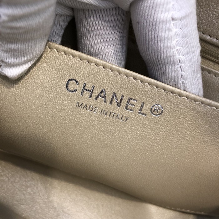 202209SS新作Chanelシャネル レディース ショルダーバックスーパーコピー